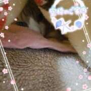 ヒメ日記 2026/03/22 16:30 投稿 みゆ 熟女の風俗最終章 蒲田店