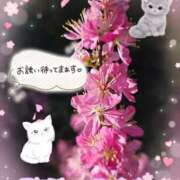 ヒメ日記 2026/03/23 20:00 投稿 みゆ 熟女の風俗最終章 蒲田店