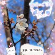 ヒメ日記 2026/03/24 14:50 投稿 みゆ 熟女の風俗最終章 蒲田店