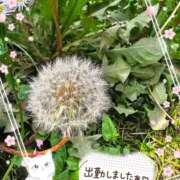 ヒメ日記 2026/03/24 16:30 投稿 みゆ 熟女の風俗最終章 蒲田店