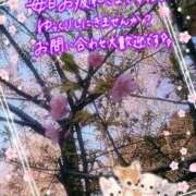 ヒメ日記 2026/03/25 17:01 投稿 みゆ 熟女の風俗最終章 蒲田店