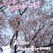 ヒメ日記 2026/03/31 20:29 投稿 みゆ 熟女の風俗最終章 蒲田店