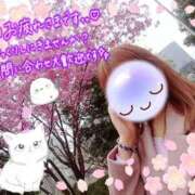 ヒメ日記 2026/04/03 22:29 投稿 みゆ 熟女の風俗最終章 蒲田店