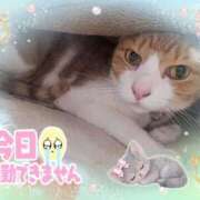 ヒメ日記 2026/04/06 16:20 投稿 みゆ 熟女の風俗最終章 蒲田店