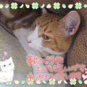 ヒメ日記 2026/04/08 17:00 投稿 みゆ 熟女の風俗最終章 蒲田店