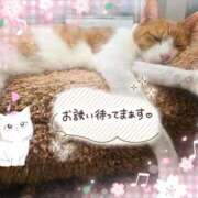 ヒメ日記 2026/04/08 17:05 投稿 みゆ 熟女の風俗最終章 蒲田店