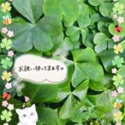 ヒメ日記 2026/04/12 18:50 投稿 みゆ 熟女の風俗最終章 蒲田店