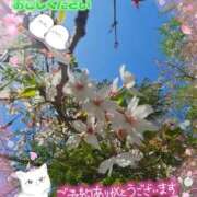 ヒメ日記 2026/04/13 16:31 投稿 みゆ 熟女の風俗最終章 蒲田店