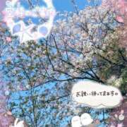 ヒメ日記 2026/04/13 16:35 投稿 みゆ 熟女の風俗最終章 蒲田店