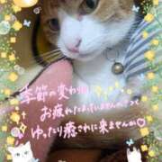 ヒメ日記 2026/04/15 16:00 投稿 みゆ 熟女の風俗最終章 蒲田店