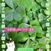 ヒメ日記 2026/04/16 16:13 投稿 みゆ 熟女の風俗最終章 蒲田店