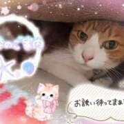 ヒメ日記 2026/04/16 16:20 投稿 みゆ 熟女の風俗最終章 蒲田店