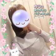 ヒメ日記 2026/04/17 16:00 投稿 みゆ 熟女の風俗最終章 蒲田店