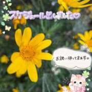 ヒメ日記 2026/04/20 00:50 投稿 みゆ 熟女の風俗最終章 蒲田店