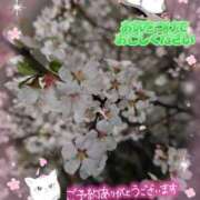 ヒメ日記 2026/04/20 15:30 投稿 みゆ 熟女の風俗最終章 蒲田店