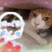ヒメ日記 2026/04/20 15:50 投稿 みゆ 熟女の風俗最終章 蒲田店