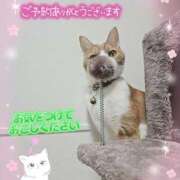 みゆ 初めて様。A様。😊ありがとうございます。🍀 熟女の風俗最終章 蒲田店