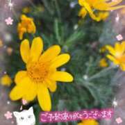 みゆ ご本指名様。N様。😊ありがとうございます。🍀 熟女の風俗最終章 蒲田店