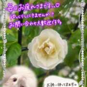 ヒメ日記 2026/05/11 16:50 投稿 みゆ 熟女の風俗最終章 蒲田店