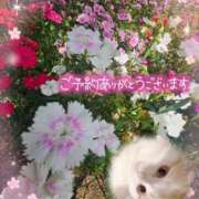 ヒメ日記 2026/05/14 16:20 投稿 みゆ 熟女の風俗最終章 蒲田店