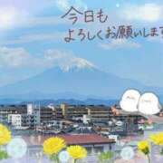 ヒメ日記 2026/06/02 16:05 投稿 みゆ 熟女の風俗最終章 蒲田店