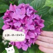 みゆ これから、出勤いたします。🍀 熟女の風俗最終章 蒲田店
