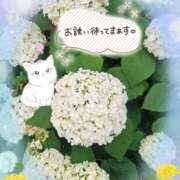 ヒメ日記 2026/06/16 15:31 投稿 みゆ 熟女の風俗最終章 蒲田店