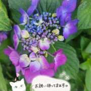 ヒメ日記 2026/06/18 16:03 投稿 みゆ 熟女の風俗最終章 蒲田店