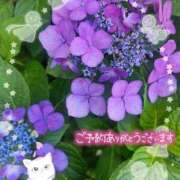 ヒメ日記 2026/06/28 16:01 投稿 みゆ 熟女の風俗最終章 蒲田店