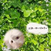 ヒメ日記 2026/06/30 17:31 投稿 みゆ 熟女の風俗最終章 蒲田店