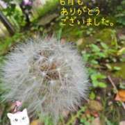 ヒメ日記 2026/07/01 04:00 投稿 みゆ 熟女の風俗最終章 蒲田店