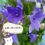 ヒメ日記 2026/07/05 16:31 投稿 みゆ 熟女の風俗最終章 蒲田店