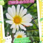 ヒメ日記 2026/07/12 16:40 投稿 みゆ 熟女の風俗最終章 蒲田店