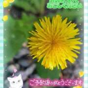 ヒメ日記 2026/07/13 17:40 投稿 みゆ 熟女の風俗最終章 蒲田店