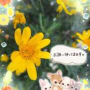 ヒメ日記 2026/07/13 17:47 投稿 みゆ 熟女の風俗最終章 蒲田店