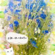 ヒメ日記 2026/07/28 15:40 投稿 みゆ 熟女の風俗最終章 蒲田店
