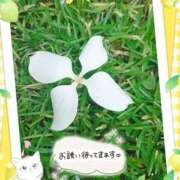 ヒメ日記 2026/07/30 16:31 投稿 みゆ 熟女の風俗最終章 蒲田店