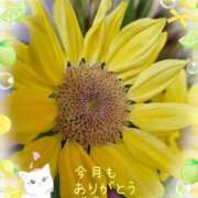 ヒメ日記 2026/07/31 21:50 投稿 みゆ 熟女の風俗最終章 蒲田店