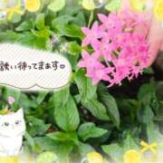 みゆ これから出勤いたします。🍀 熟女の風俗最終章 蒲田店