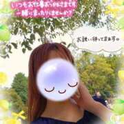 ヒメ日記 2026/08/05 16:31 投稿 みゆ 熟女の風俗最終章 蒲田店