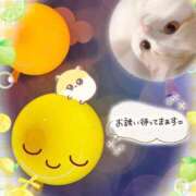 ヒメ日記 2026/08/06 16:31 投稿 みゆ 熟女の風俗最終章 蒲田店