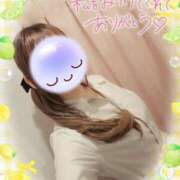 ヒメ日記 2026/08/12 05:50 投稿 みゆ 熟女の風俗最終章 蒲田店