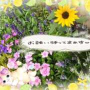 ヒメ日記 2026/08/13 16:55 投稿 みゆ 熟女の風俗最終章 蒲田店