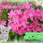 ヒメ日記 2026/08/27 16:31 投稿 みゆ 熟女の風俗最終章 蒲田店