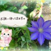 ヒメ日記 2026/08/29 16:35 投稿 みゆ 熟女の風俗最終章 蒲田店