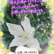ヒメ日記 2026/09/01 16:31 投稿 みゆ 熟女の風俗最終章 蒲田店