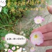 ヒメ日記 2026/09/09 16:50 投稿 みゆ 熟女の風俗最終章 蒲田店