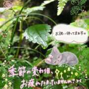 ヒメ日記 2026/09/10 16:31 投稿 みゆ 熟女の風俗最終章 蒲田店