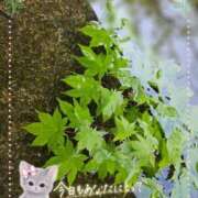 みゆ 出勤のお知らせです。🍀 熟女の風俗最終章 蒲田店