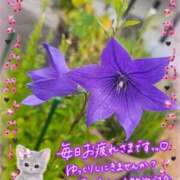 みゆ これから出勤いたします。🍀 熟女の風俗最終章 蒲田店